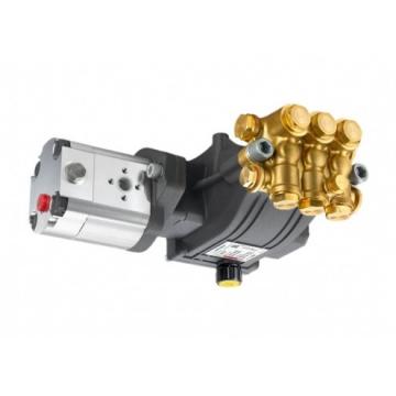 Rexroth hydraulic pump, No:  9510090001