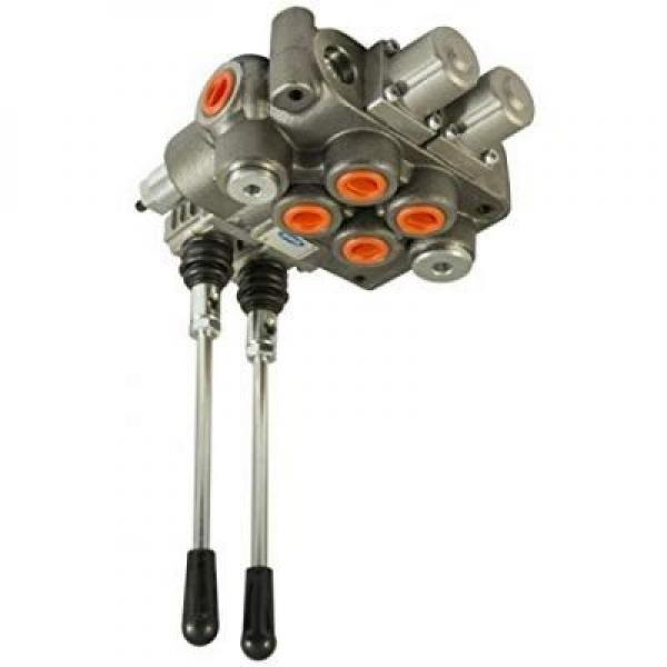 International B250 Hydraulic Pump